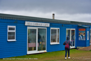 Sea Cabbage Cafe in Falkland Islands (March 2020)