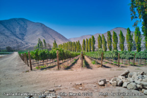 Santa Rita Winery, Santiago, Chile (March 2020)